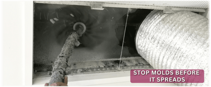 Air Duct Mold Removal in Athens