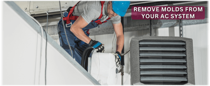 HVAC Mold Removal Athens